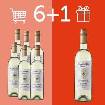6+1 offerte - Vins
